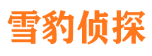 滨海新区市侦探调查公司